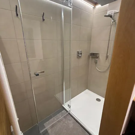 Steinbergrose Appartement Leogang